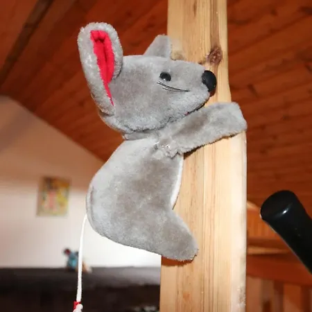 Und Restaurant Karpfenschaenke מלון 3*