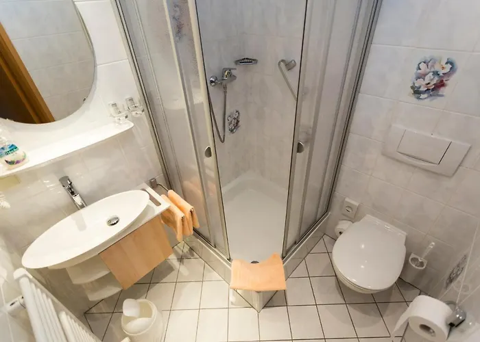 Hotel Und Restaurant Karpfenschaenke Schenkendobern