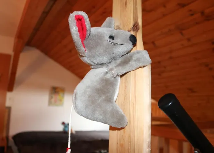 Und Restaurant Karpfenschaenke Hotel 3*